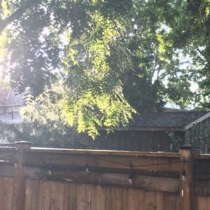 Meet your Posher, Tina